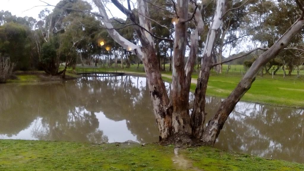 Magdala Motor Lodge & Lakeside Restaurant Stawell Esterno foto