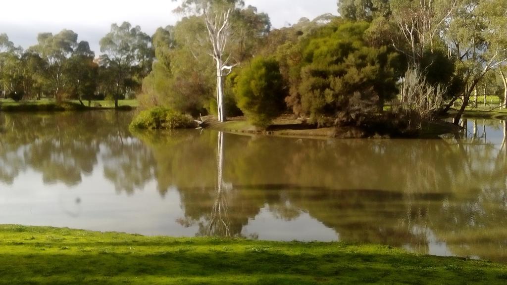 Magdala Motor Lodge & Lakeside Restaurant Stawell Esterno foto